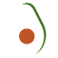 hassavocadoboard.com