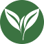 morningsideag.org
