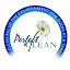 perfectclean.com
