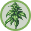 purehempessentials.com