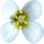 1001genomes.org