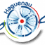 aeroclub-haguenau.com