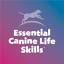es***dogtraining.co.uk
