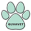 guvavet.com