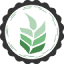 healingslice.com