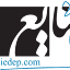 iedep.com