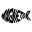 magnetarmagnets.com