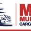 mudanzascargoexpress.com