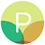 pureexecutive.com