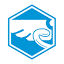 rigelmedical.com