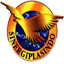 sinergiglobal.com