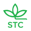 stc-group.com