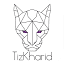 tizkharid.com
