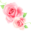 tokyorose.ru