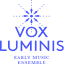 voxluminis.com