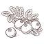yellowpointcranberries.com