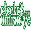 cicekciumraniye.com
