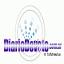 diariodevoto.com.ar