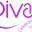 divawomenswear.com