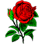 flowerdeliveryaustin.florist