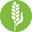 graintec.com.au
