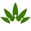 puffkingsdc.com