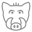 theboar.org