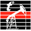 alfaopt.com