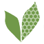 beesweetnature.ca
