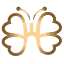 drafernandasholl.com