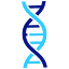 hannonpharmalink.com