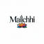 mailchi.in