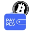 paypes.com