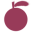 petitcitron.com