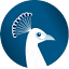 richmiser.com