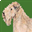 scwtca.org