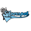 silverspottrading.com