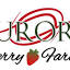 auroraberryfarms.net