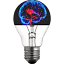 bietwiki.com