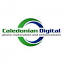 caledoniandigital.co.uk
