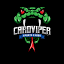 cardviper.com