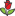 cvetoktorg.ru