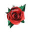 fleursdepeaux.fr