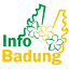 infobadung.com