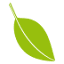 leaf-schmuck.de