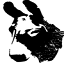littledonkeybos.com