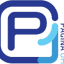 p1news.com.br