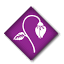 rgp.com.pk