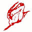 rosesforyou.ch