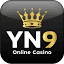 yn9.xyz